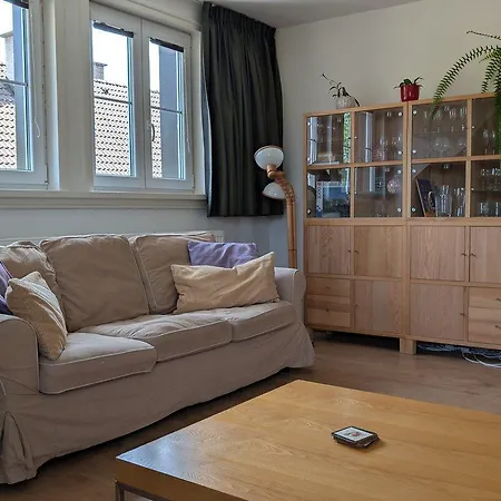 Jelen Lejlighed Hostka (Pilsen)